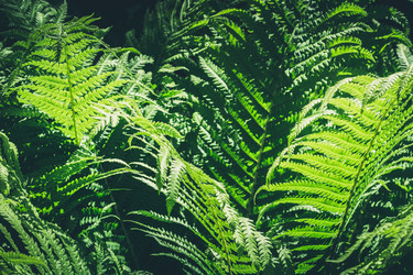 Similar image 20231670