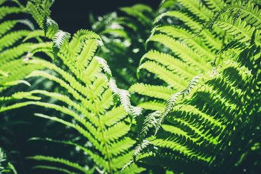 Similar image 20231671