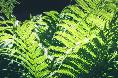 Similar image 20231618