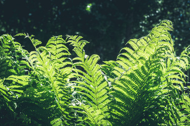 Similar image 20231619