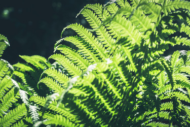 Similar image 20231620