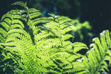 Similar image 20231621