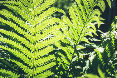 Similar image 20231623