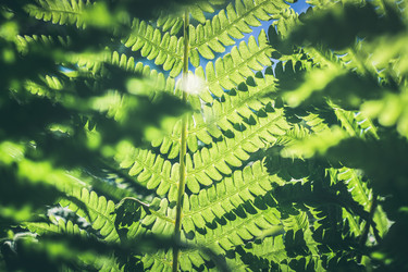 Similar image 20231624