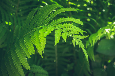 Similar image 20231625