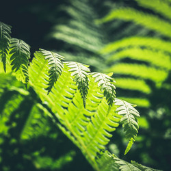 Similar image 20231626