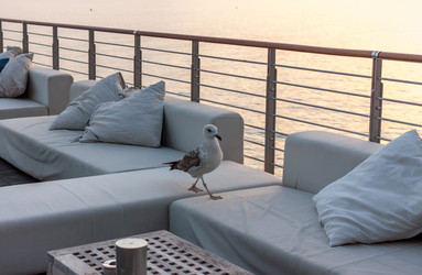 Similar image 20227809