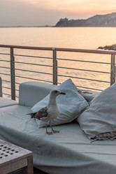 Similar image 20227828