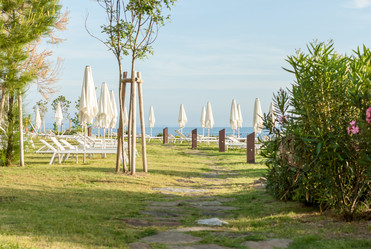 Similar image 20227692