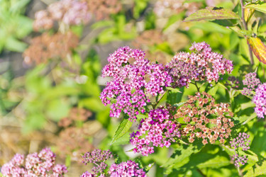 Similar image 20232191