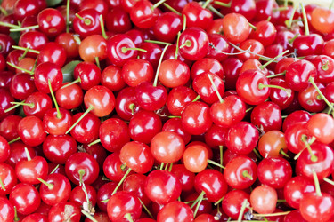 Similar image 20232209