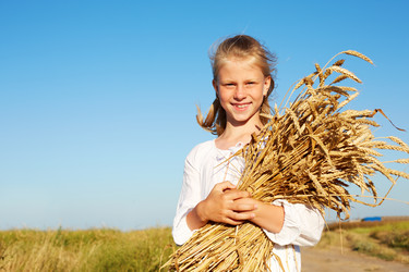 Similar image 20232684