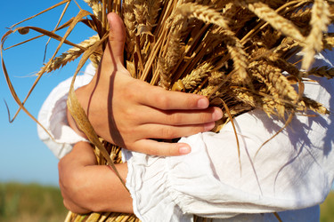 Similar image 20232699