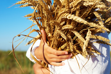 Similar image 20232700