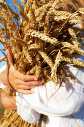 Similar image 20232701