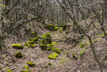 Similar image 20195772