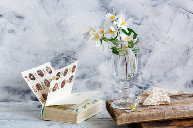 Similar image 20264009