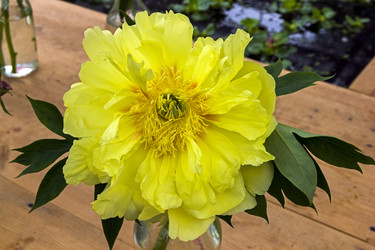 Similar image 20232714