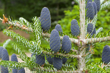 Similar image 20232719