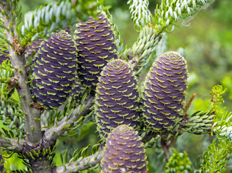 Similar image 20232718