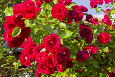 Similar image 20232721