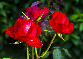 Similar image 20232723