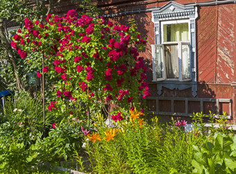 Similar image 20232727