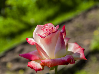 Similar image 20232729