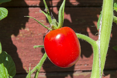 Similar image 20232737