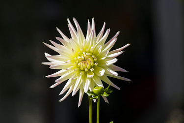 Similar image 20232741