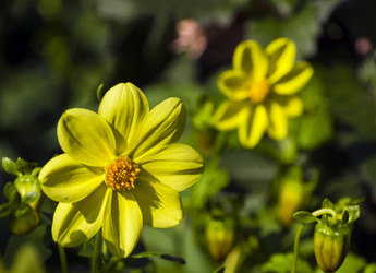 Similar image 20232742