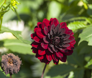 Similar image 20232743