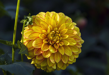 Similar image 20232744