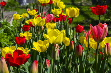 Similar image 20232745