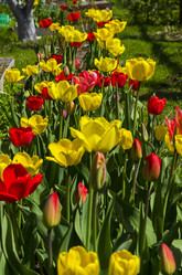 Similar image 20232746