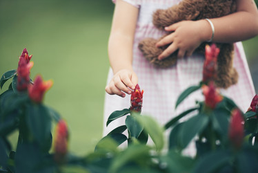 Similar image 20265567