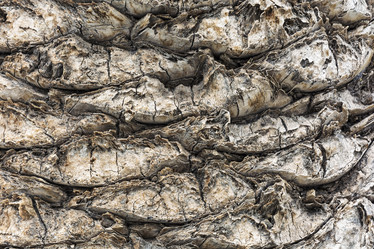 Similar image 20234956