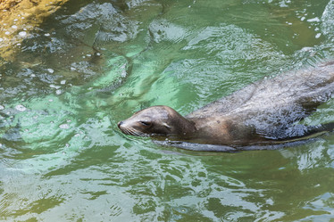 Similar image 20234962