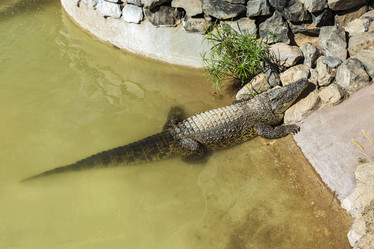 Similar image 20234974