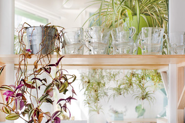 Similar image 20234977