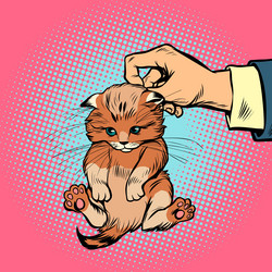 Similar image 20264108