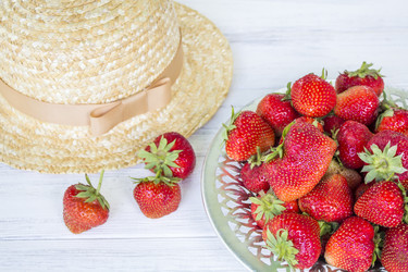 Similar image 20264111