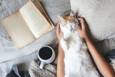 Similar image 20264174