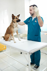 Similar image 20264716