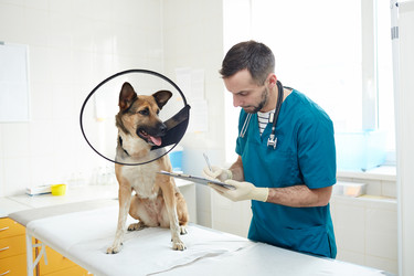 Similar image 20264732