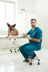 Similar image 20264734