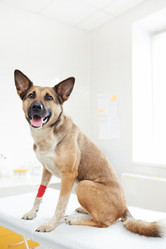 Similar image 20264763