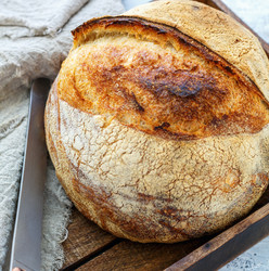 Similar image 20264079