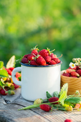 Similar image 20297403