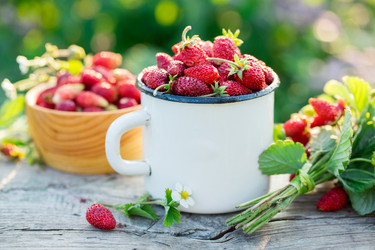 Similar image 20297404